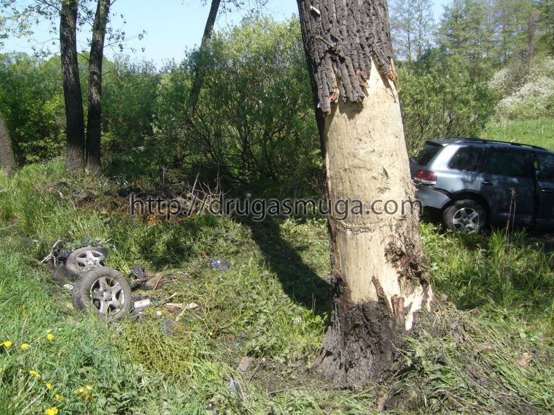 ДТП в Чехии : Volkswagen Touareg разорвался об дерево - человек погиб (ФОТО)