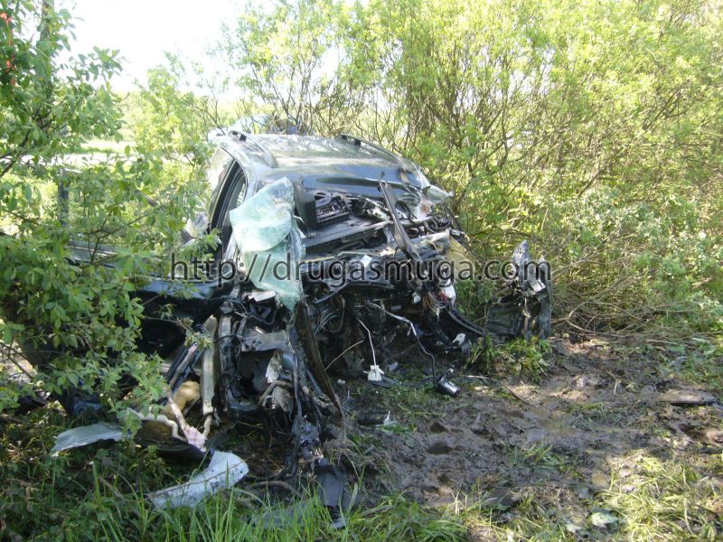 ДТП в Чехии : Volkswagen Touareg разорвался об дерево - человек погиб (ФОТО)