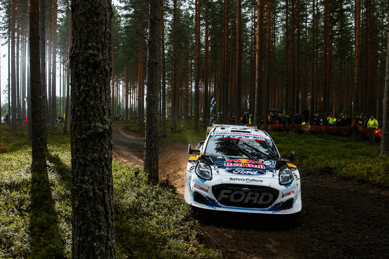 Rally Finland 2025: дев’ятий етап чемпіонату WRC на шалених гравійних трасах
